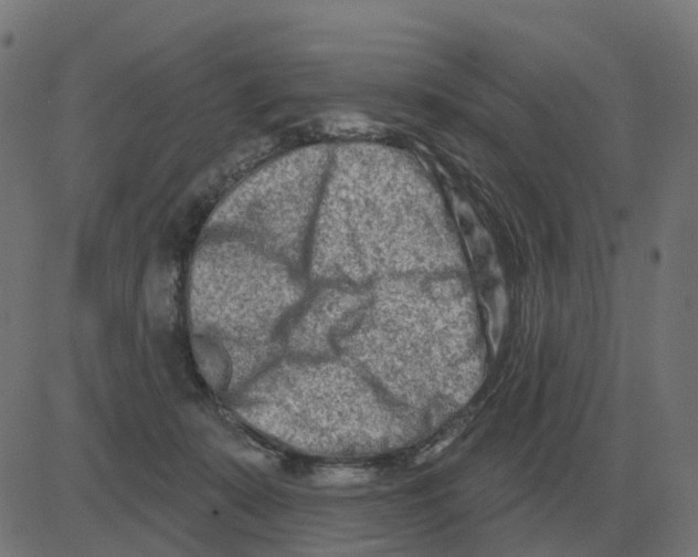 X0000081420319200702092140