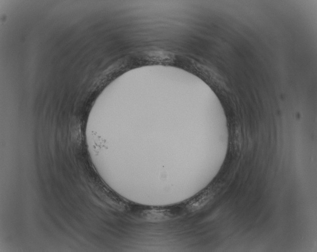 X0000081420320200702092140