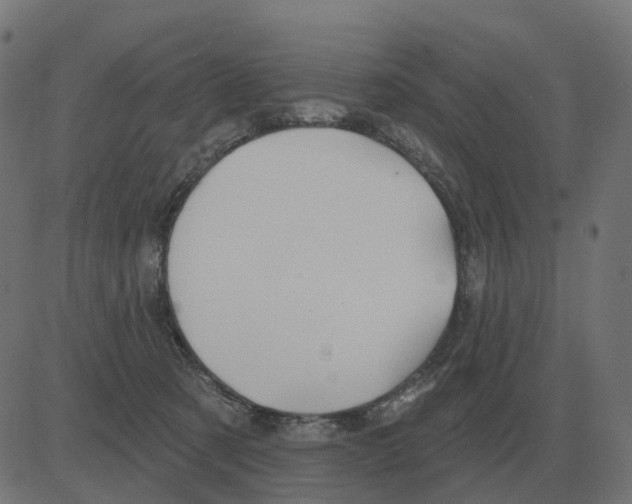 X0000081420321200702092140