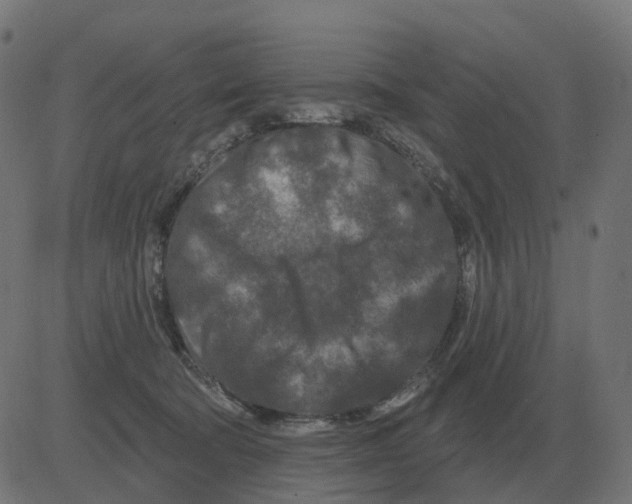 X0000081420322200702092140