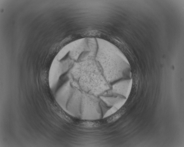 X0000081420326200702092140