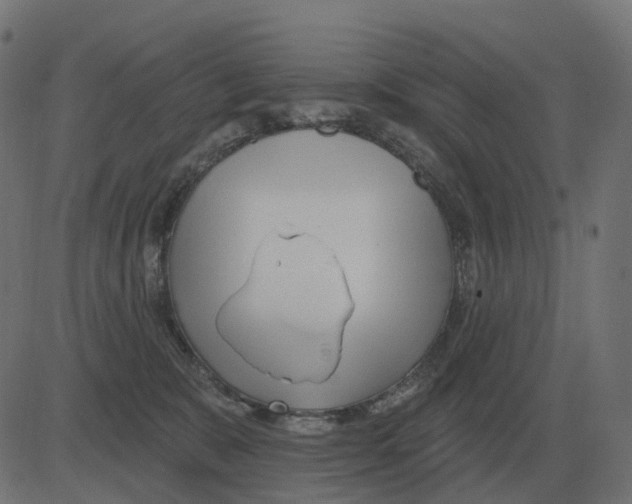 X0000081420327200702092140