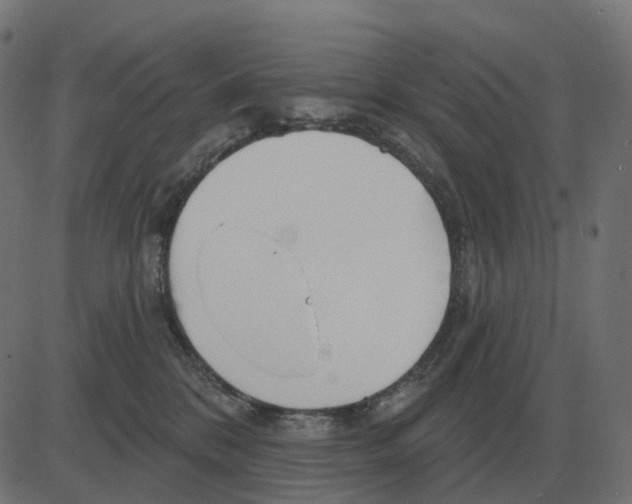 X0000081420328200702092140