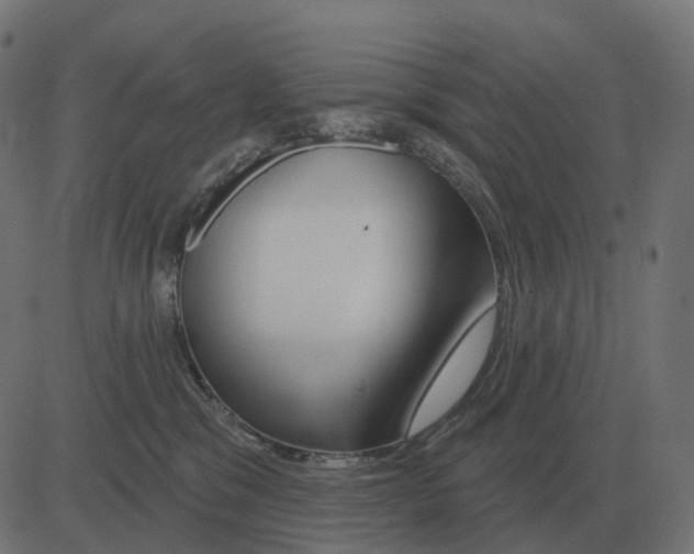 X0000081420329200702092140