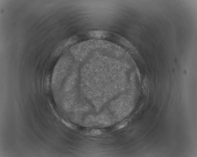 X0000081420330200702092140