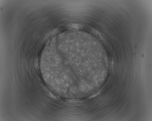 X0000081420331200702092140