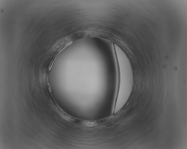 X0000081420333200702092140