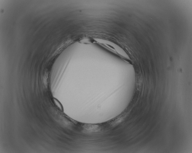 X0000081420334200702092140