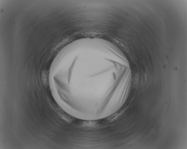 X0000081420335200702092140