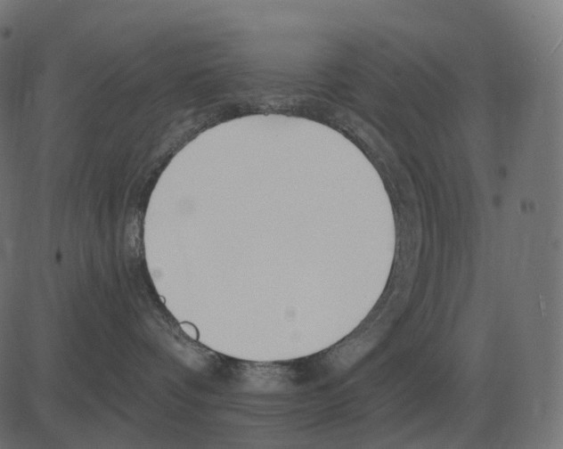 X0000081420336200702092140