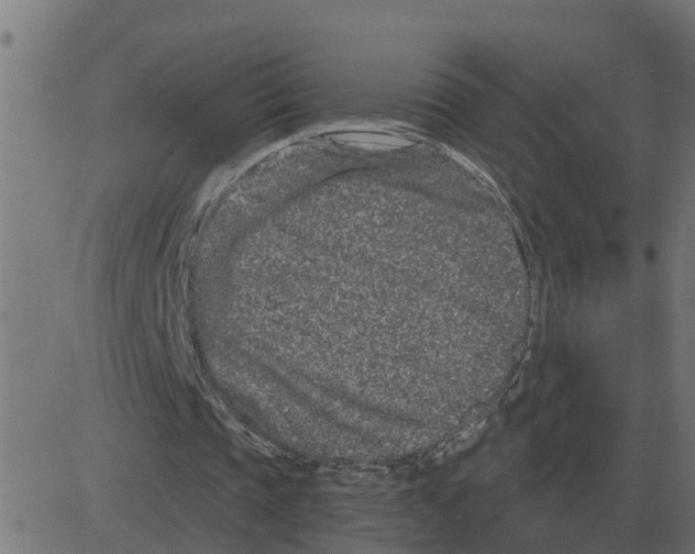 X0000081420337200702092139