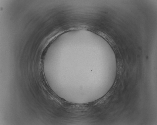 X0000081420338200702092139