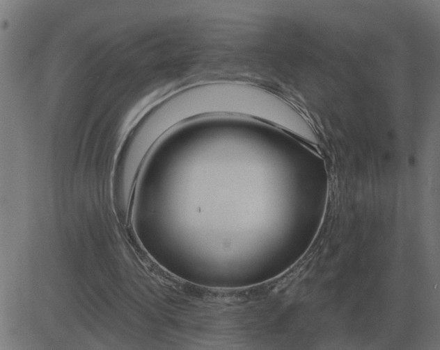 X0000081420340200702092139