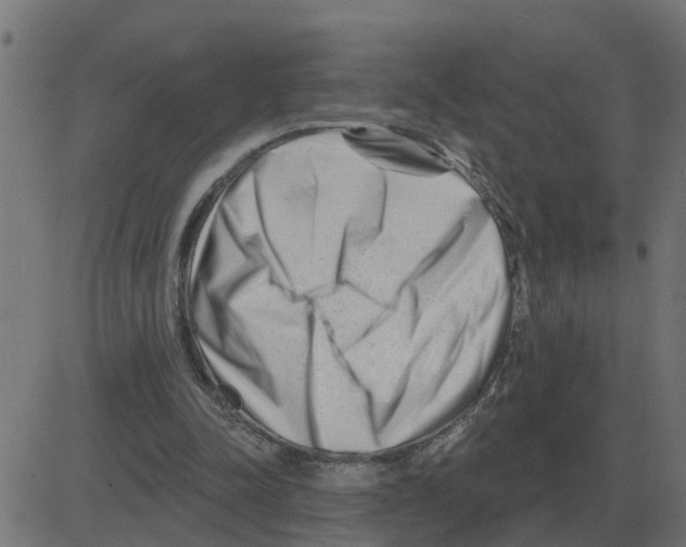 X0000081420342200702092139