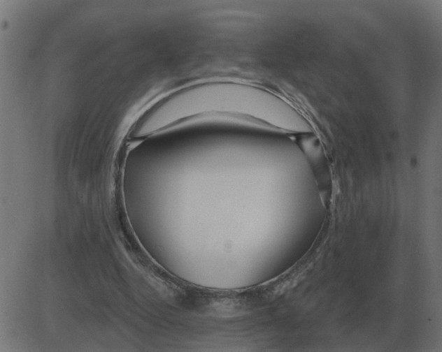 X0000081420344200702092139