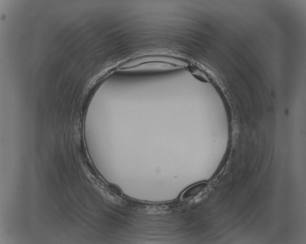 X0000081420345200702092139