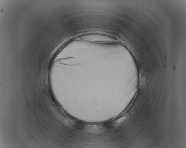 X0000081420347200702092139