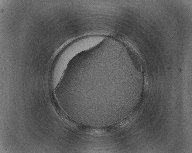 X0000081420348200702092139