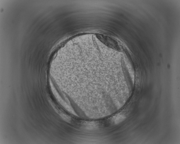 X0000081420349200702092139