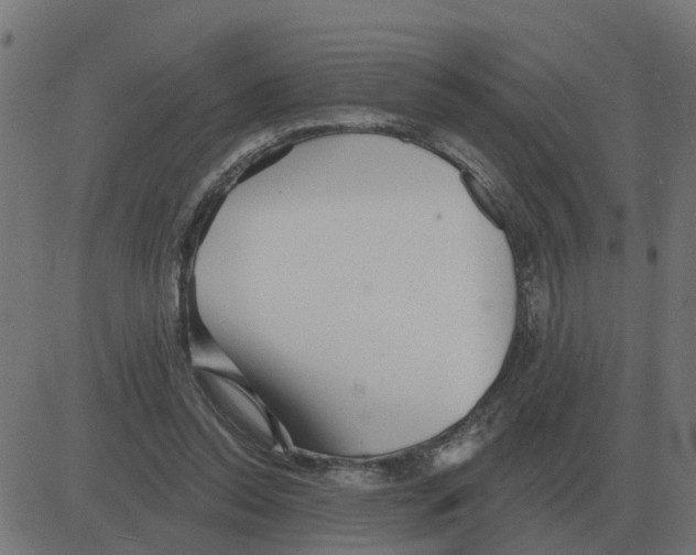 X0000081420350200702092139