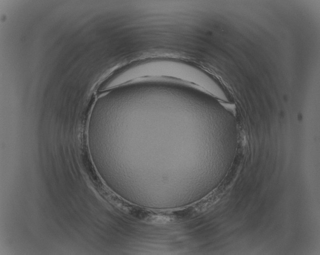 X0000081420352200702092139