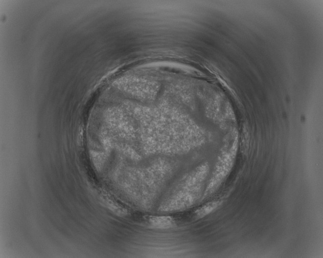 X0000081420355200702092139