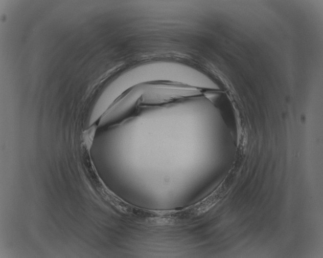 X0000081420356200702092139