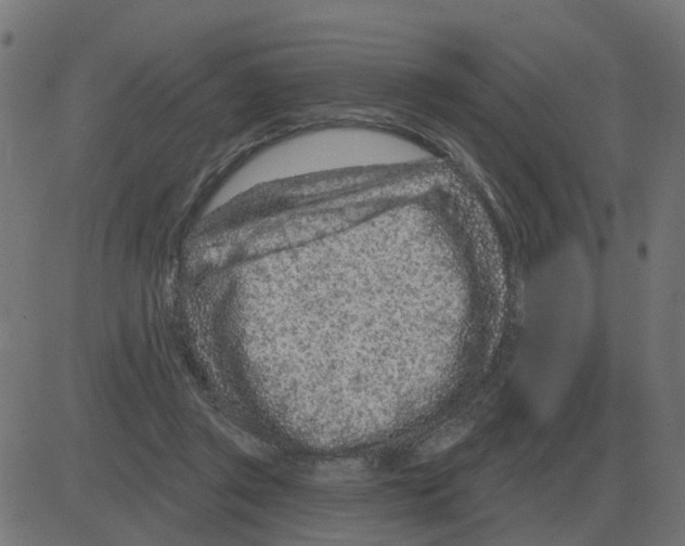 X0000081420357200702092139