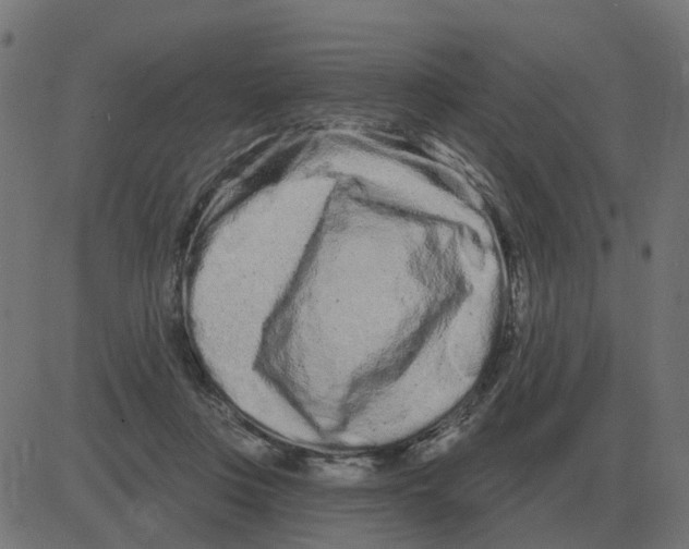 X0000081420359200702092139