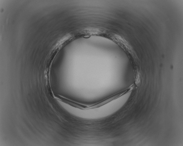 X0000081420360200702092139