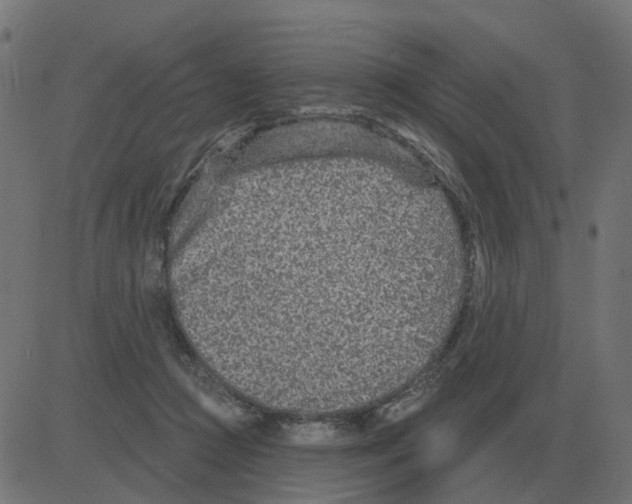 X0000081420361200702092139