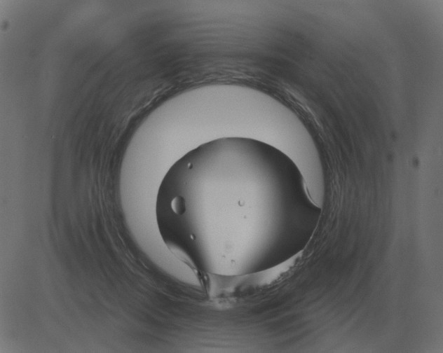 X0000081420362200702092139