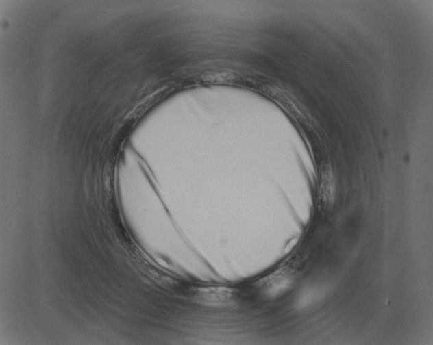 X0000081420363200702092139