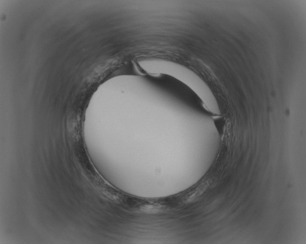 X0000081420364200702092139