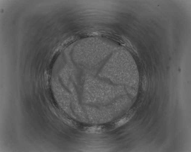 X0000081420366200702092140