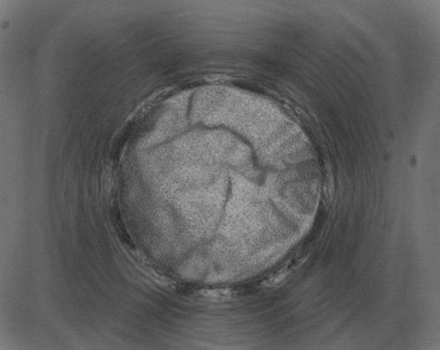 X0000081420367200702092140