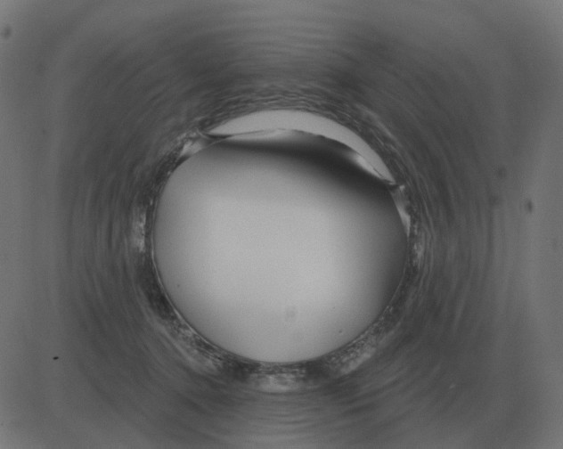 X0000081420368200702092140