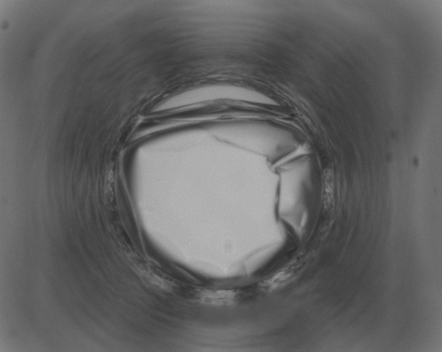 X0000081420369200702092140