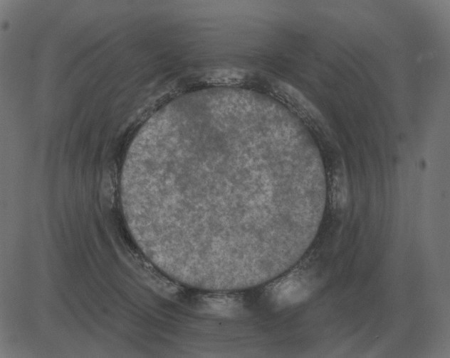 X0000081420370200702092140