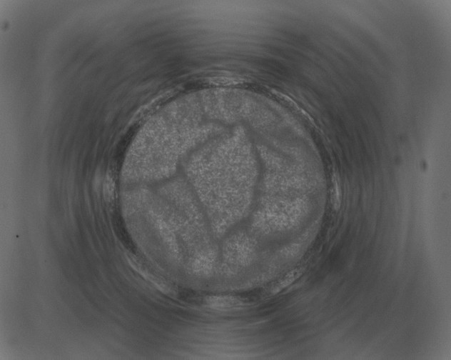 X0000081420371200702092140