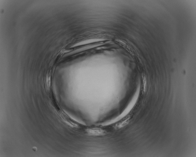 X0000081420372200702092140