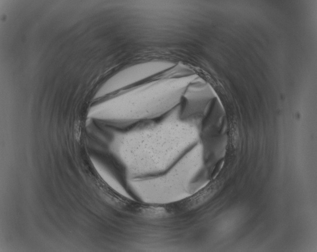 X0000081420374200702092140