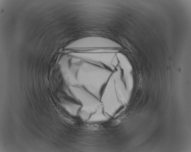 X0000081420377200702092140