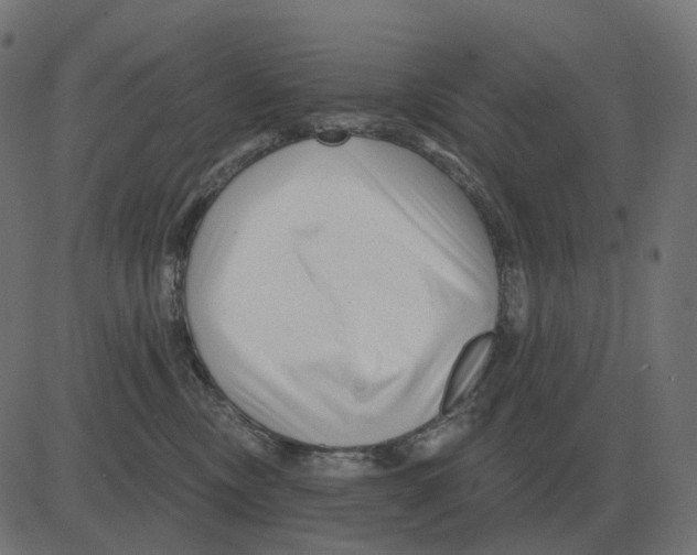 X0000081420378200702092140