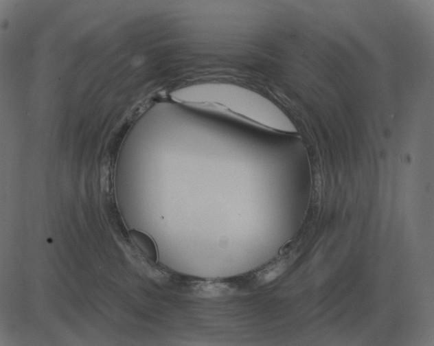 X0000081420379200702092140