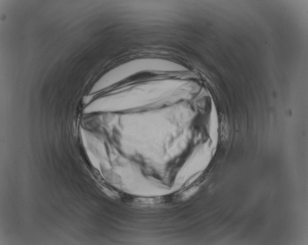 X0000081420381200702092140