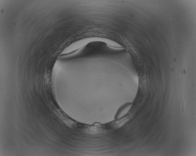 X0000081420382200702092140