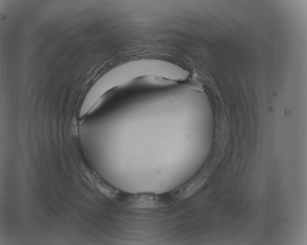 X0000081420384200702092140