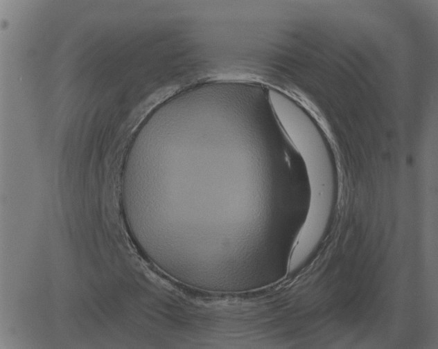 X0000081420385200702092139