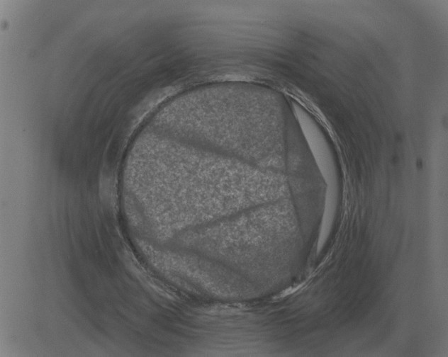 X0000081420386200702092139